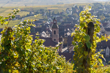 Fototapeta na wymiar Riquewihr village from across vineyard, France