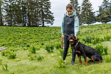 Teenage girl stands with leash in hands next to dog of Rottweiler breed in meadow, against background of fir trees