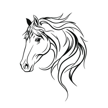 Head horse. Vector black and white isolated illustration of horse. For decoration, coloring book, design, prints, posters, postcards, stickers, tattoo, t-shirt