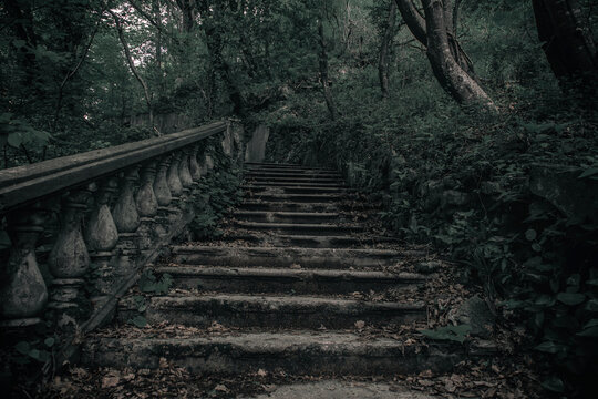 Scary abandoned staircase in the forest. Green trees. Stone architecture. Broken steps. Mystical atmosphere.