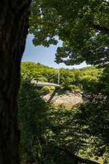 Victor-Neels-Brücke über der Urft im Nationalpark Eifel im Sommer