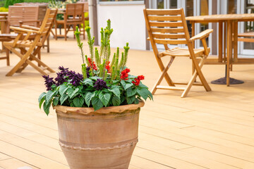 Fototapeta na wymiar テラス席に飾られた鉢植えの植物