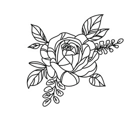 Flower drawings. Black and white with line art on white backgrounds. Hand Drawn Botanical Illustrations. Vector.