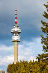 Fototapeta premium Tower Snezhana on peak of Snezhana covered with spruce forests in Rhodope mountains