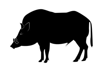 Silueta negra de un jabalí sobre fondo blanco