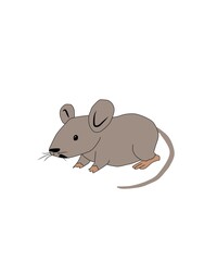 mouse cartoon photo illustration