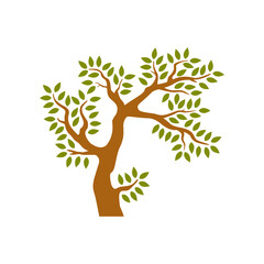 Tree isolated on white background