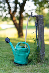 Watering can placed in the garden