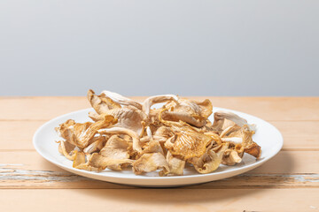 Getrocknete Austerpilze auf weißem Porzellanteller, zentriert, mittig