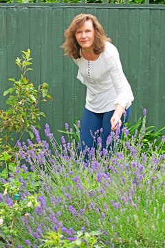 Girl in a lavender garden, in Summer.