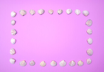 frame made of seashells on a bright textured background