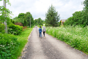 Children walk along the road in the village. Summer village landscape. Walking along a rural road. The road in the village.