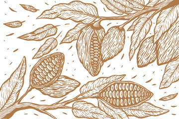 Cocoa bean tree hand draw set illustration - Out line