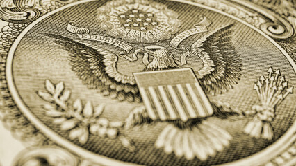1 US dollar. Fragment of banknote. Reverse of bill with the Great Seal. The bald eagle is the...