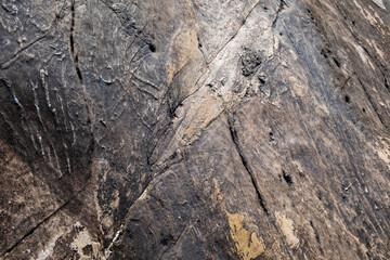 rock texture or background in nature.
