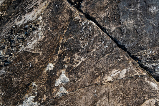 rock texture or background in nature.
