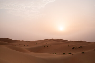 Fototapeta na wymiar Sun rising over the majestic orange sand dunes of Al Wathba desert in Abu Dhabi, United Arab Emirates.