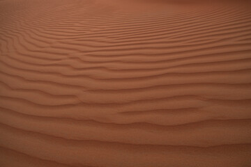 Close-up of flat orange sand dunes in Al Wathba desert, Abu Dhabi, United Arab Emirates.