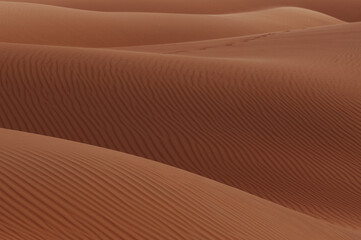 Horizontal close-up of a section of sand dunes in Al Wathba desert, Abu Dhabi, United Arab Emirates.