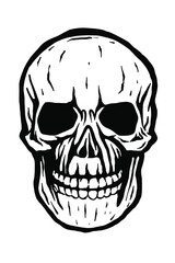 human skull with a lower jaw - vector illustration - Out line
