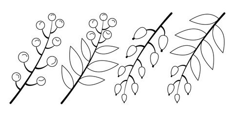 autumn twigs with leaves and berries in a flat style (lineart). Vector image.