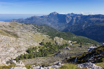 Naklejka na ściany i meble View of the mountains near Valldemosa in Mallorca (Balearic islands)
