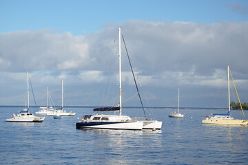 Fototapeta premium A catamaran anchored off the Hawaiian island of Maui