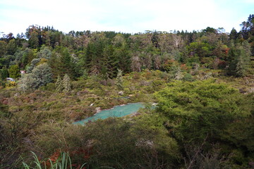 Hot water in maori village in Rotorua in australia.