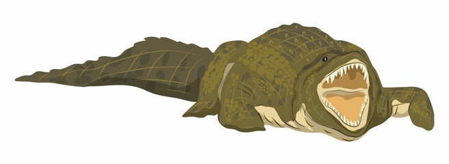 Nile crocodile with open mouth and sharp teeth. Wild vector reptile of Africa