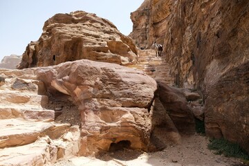 Donkey is standing on stone stairs on the Jordan Trail from Little Petra (Siq al-Barid) to Petra....