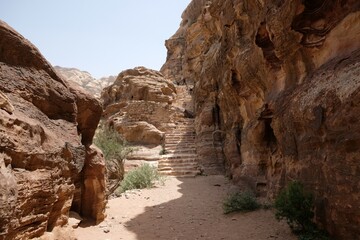Donkey is standing on stone stairs on the Jordan Trail from Little Petra (Siq al-Barid) to Petra. Jordan, Hashemite Kingdom of Jordan 