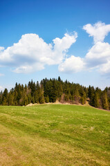 Fototapeta na wymiar Mountain landscape on a sunny day, Pienin Mountains, Poland.