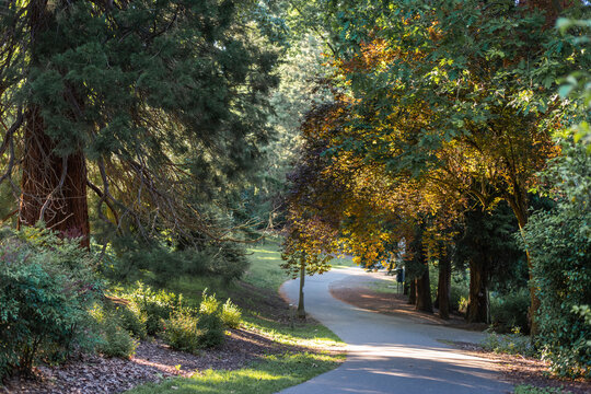 Winding path through lush setting of Laurelhurst Park in Portland, Oregon