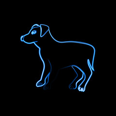 Vector illustration of dog with neon effect.