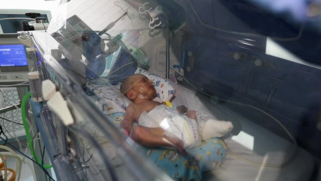 Newborn premature baby in a medical box.