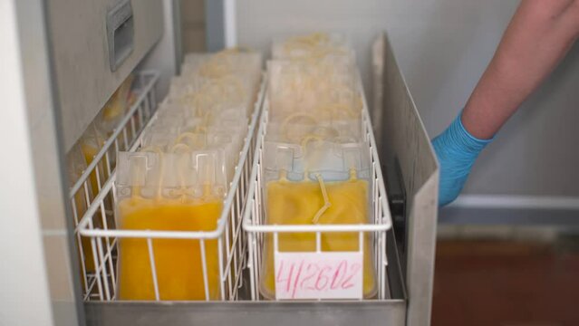 Platelet bags, platelet donation. Refrigerator with blood plasma.