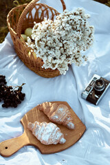 Picnic. flowe. french croissants. Grapes, retro camera.picnic in nature