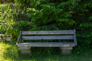 wooden bench in a tourist resting place in the shade of a spruce tree.