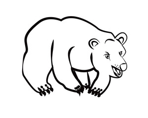 bear illustration in line