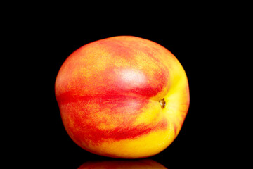 One ripe juicy nectarine, close-up, isolated on a black background.