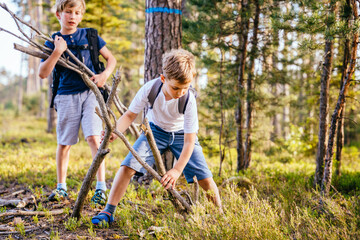 Two boys playing in a forest. Children collecting firewood in summer wood. Vacation, lifestyle,...