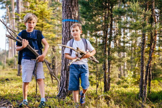 Two children collecting wood building camp in summer vacations. Boys in the forest gathering sticks.