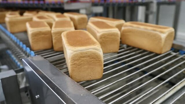 Loaves of bread in a bakery on an automated conveyor. selective focus