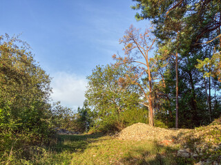 Fototapeta na wymiar Naturschutzgebiet am Rande der Weinberge