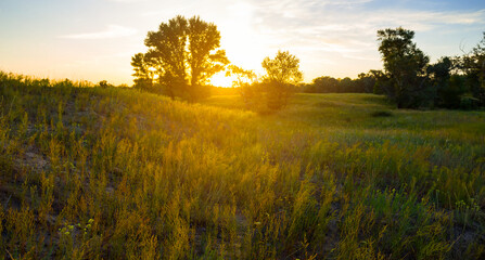 summer grass hill at the sunset