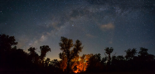touristic stand with camp fire in night forest under dark starry sky, summer camping scene