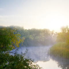 Naklejka na ściany i meble quiet summer river in mist at the early morning