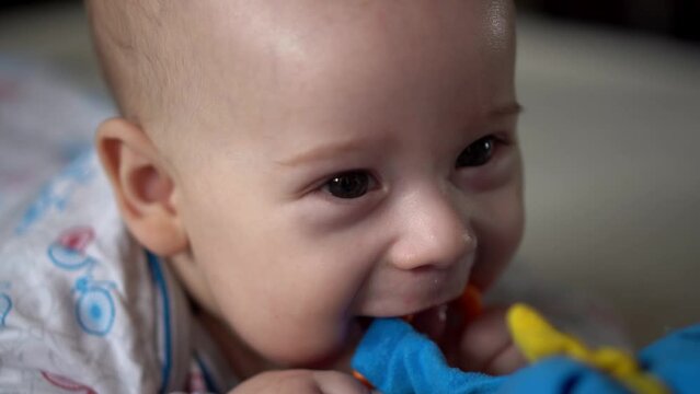 Newborn Active Baby Cute Smiling Teethless Face Portrait Early Days On Stomach Developing Neck Control. 5 Months Child In Playpen Gnaws Toys Look At Camera. Infant, Childbirth, Beginning Concept