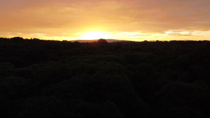 sunset city and horse view. drone shooting in green countryside