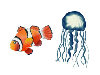 Watercolour sea animals jellyfish and beautiful fish clipart illustration - obrazy, fototapety, plakaty